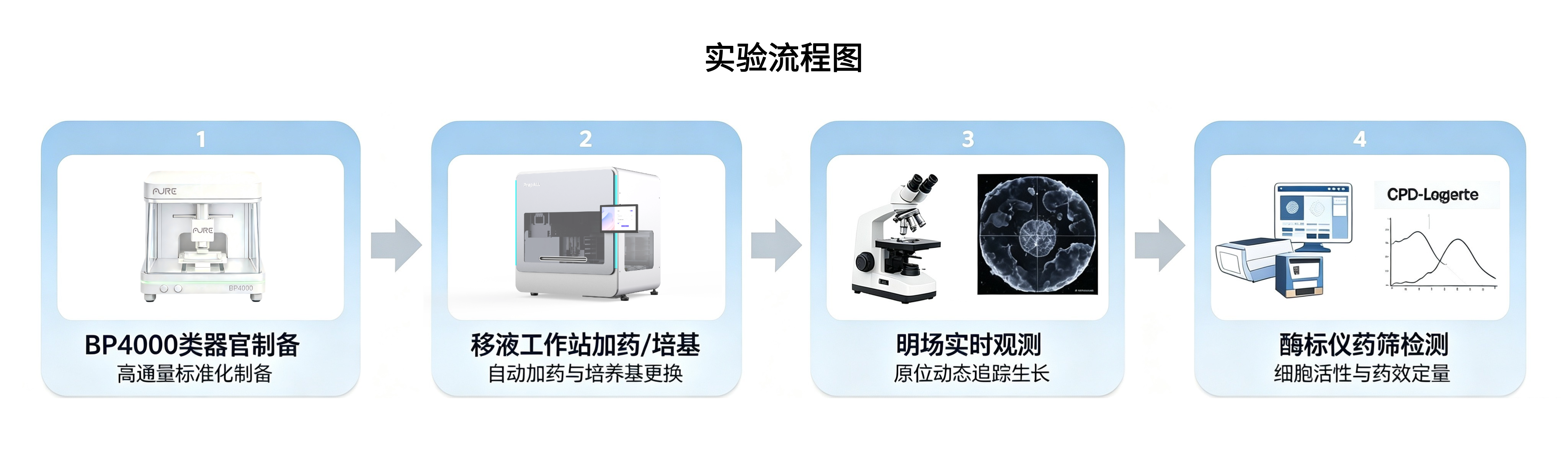 案例分析：384孔高通量PDO类器官药物筛选平台